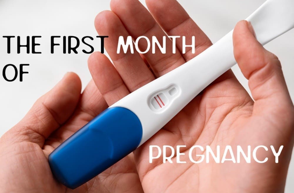 first-month-of-pregnancy