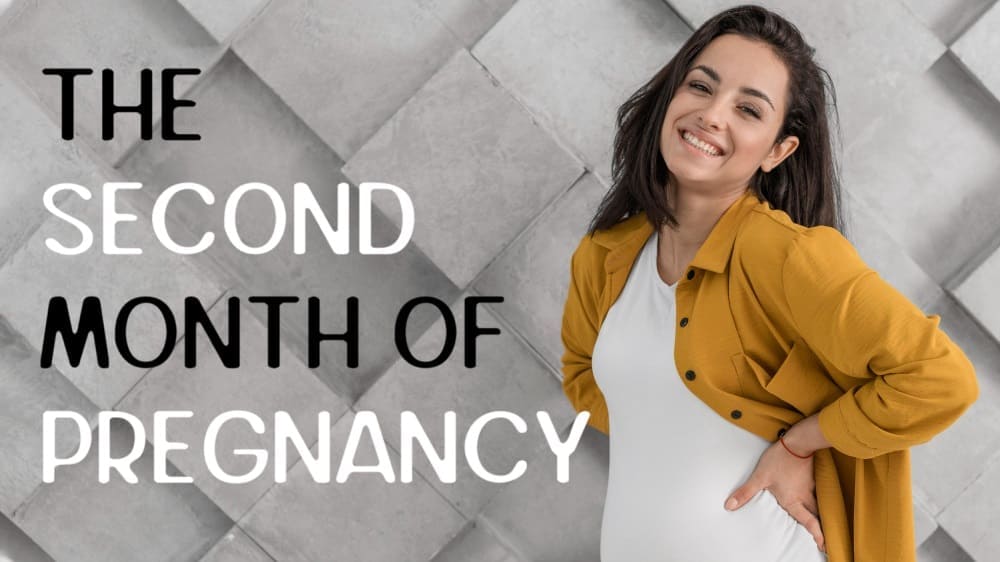 second-month-of-pregnancy